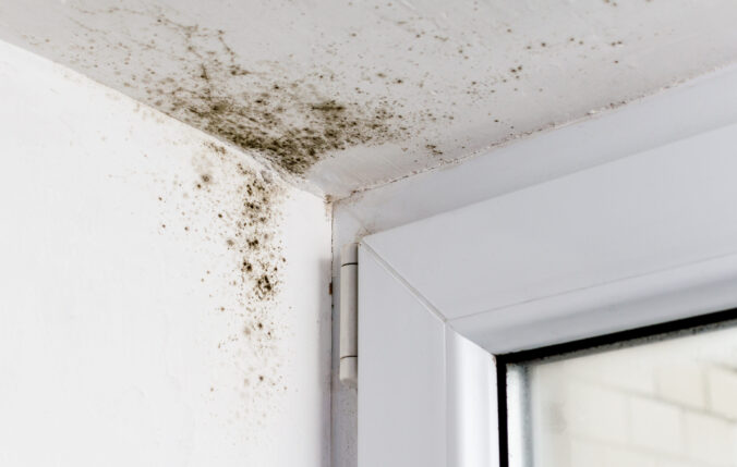Mold in a corner of a ceiling